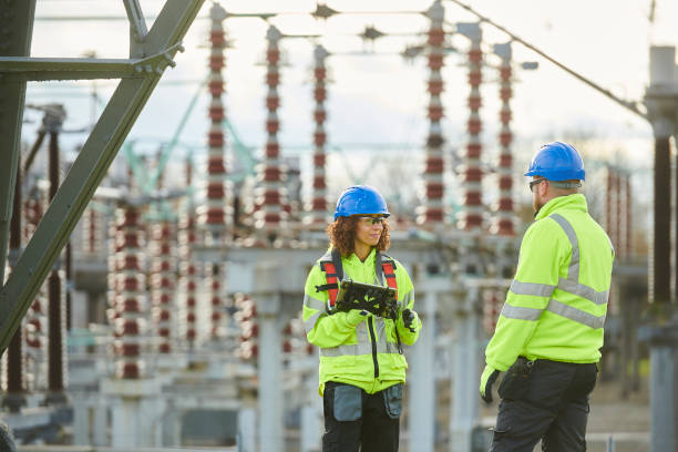 Best Affordable Electrician  in Walcott, IA